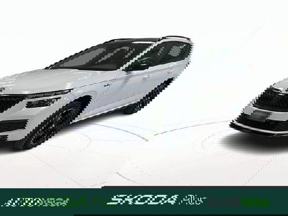 Skoda Kamiq usata a Vicenza