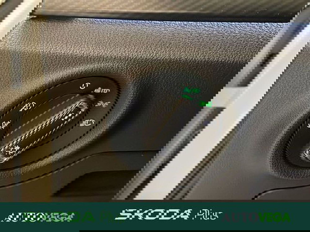 Skoda Kamiq usata a Vicenza (17)