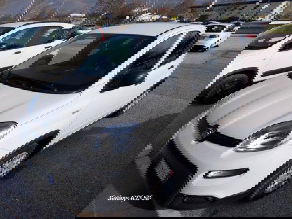 Fiat Panda usata a Pisa (2)