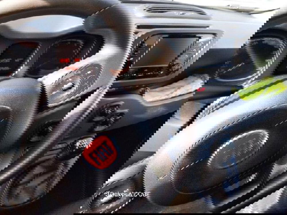 Fiat Panda usata a Pisa (4)