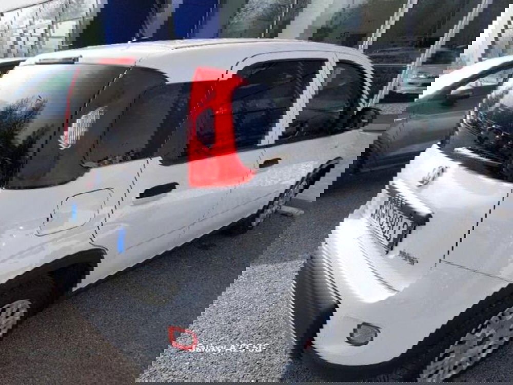 Fiat Panda usata a Pisa (5)