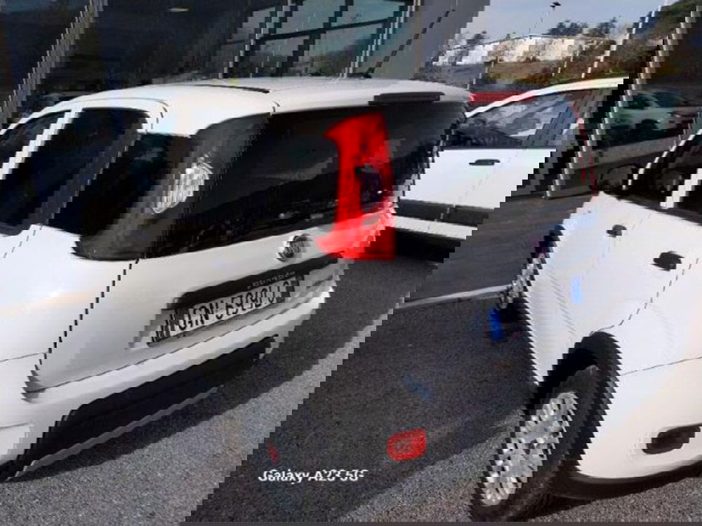 Fiat Panda usata a Pisa (6)