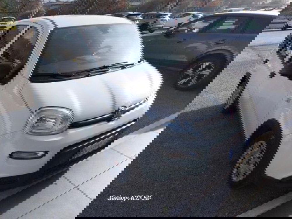 Fiat Panda usata a Pisa (7)