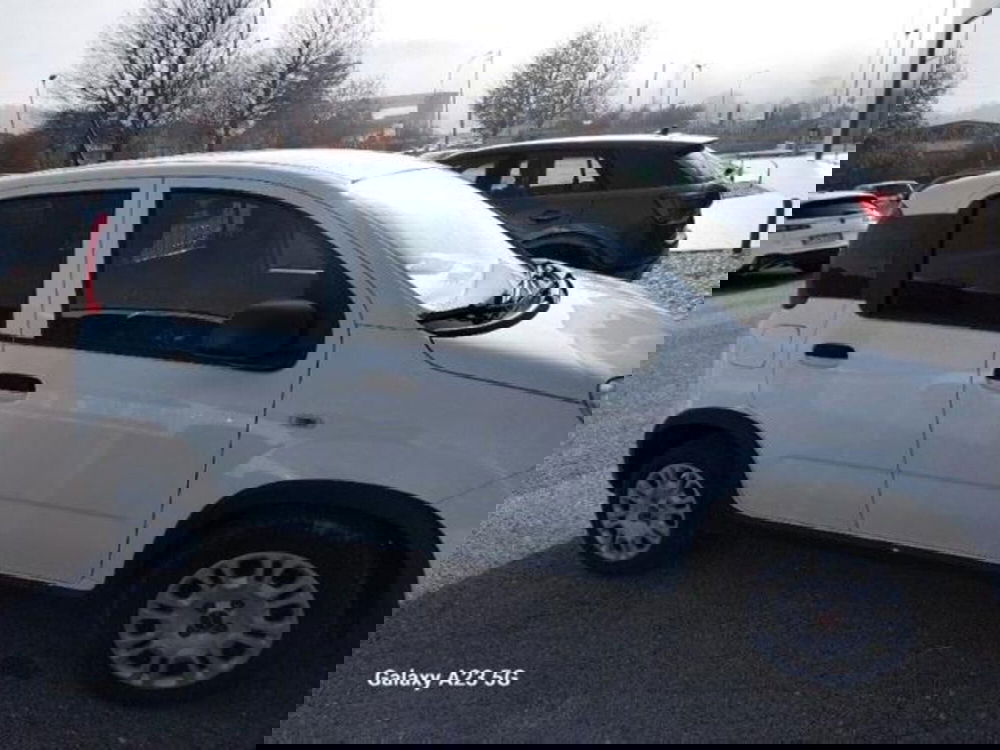Fiat Panda usata a Pisa (8)