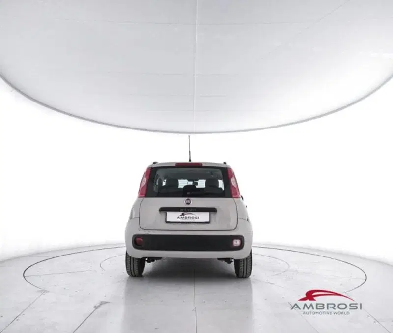 Fiat Panda usata a Perugia (6)