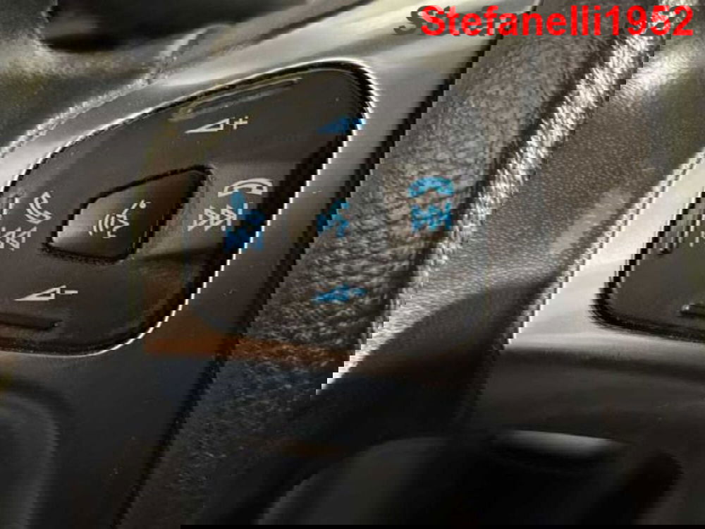 Ford EcoSport usata a Bologna (20)
