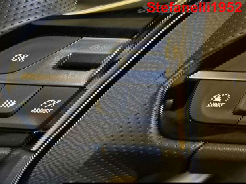 Peugeot 308 SW usata a Bologna (20)