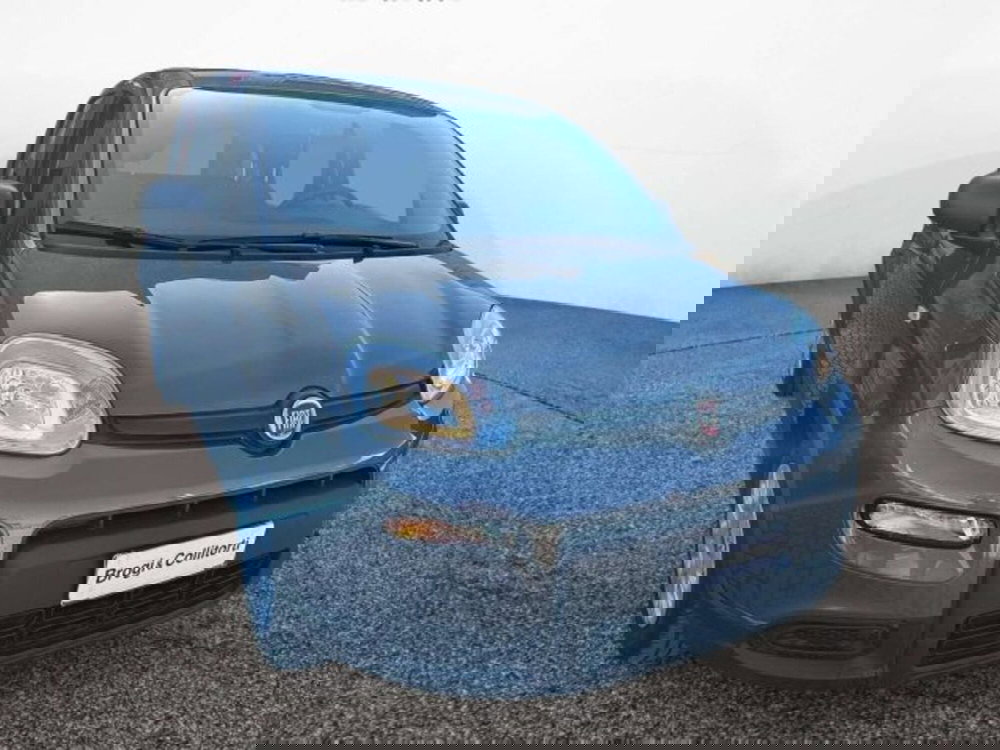 Fiat Panda usata a Firenze