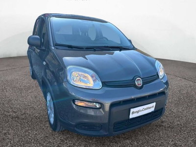 Fiat Panda 1.0 firefly hybrid s&amp;s 70cv 5p.ti del 2022 usata a Empoli