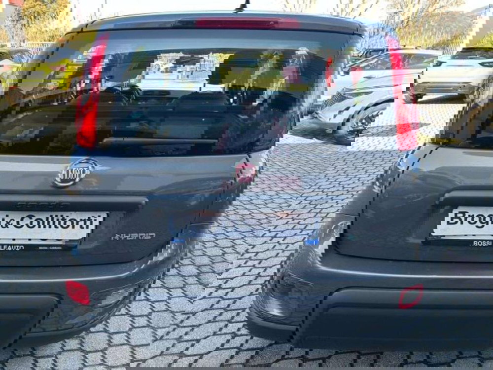 Fiat Panda usata a Firenze (5)