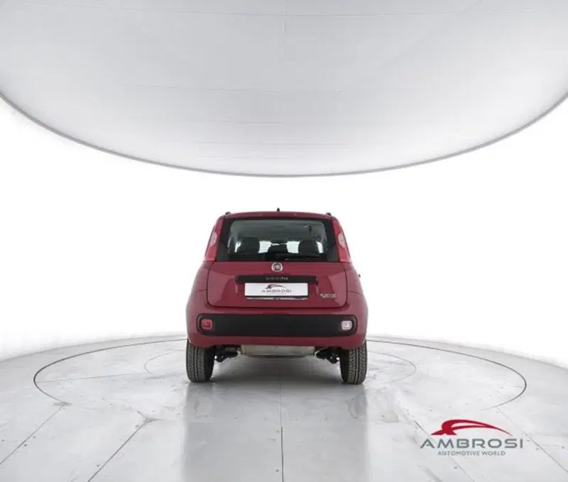 Fiat Panda usata a Perugia (6)