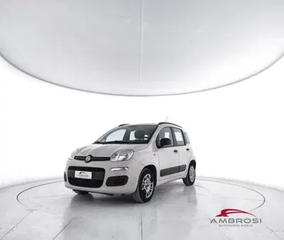 Fiat Panda 0.9 TwinAir Turbo Natural Power Easy del 2015 usata a Corciano