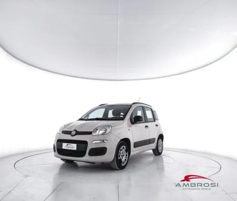 Fiat Panda usata a Perugia