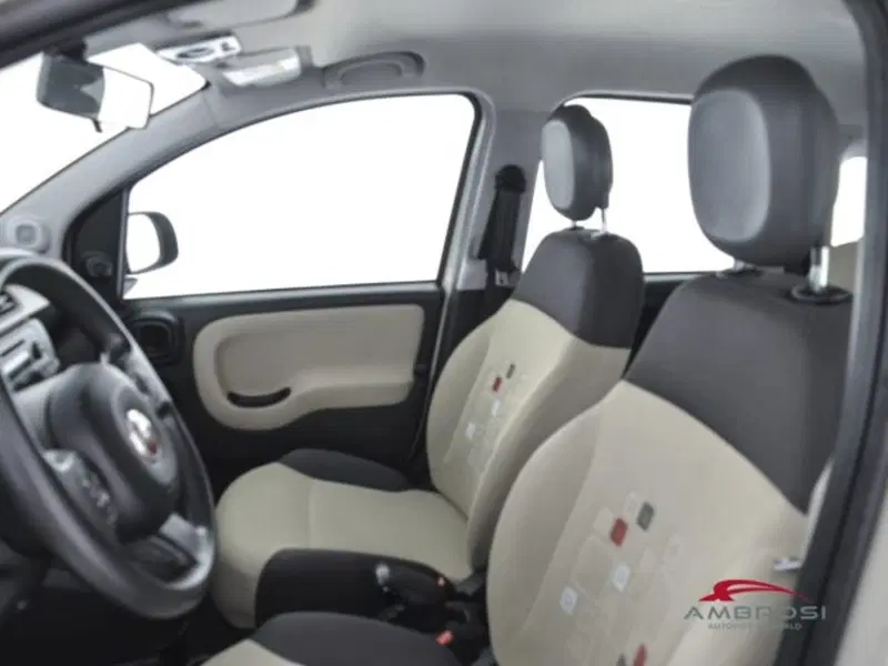 Fiat Panda usata a Perugia (9)