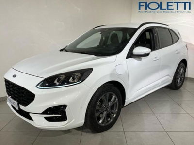 Ford Kuga 2.5 Plug In Hybrid 225 CV CVT 2WD ST-Line del 2021 usata a Brescia