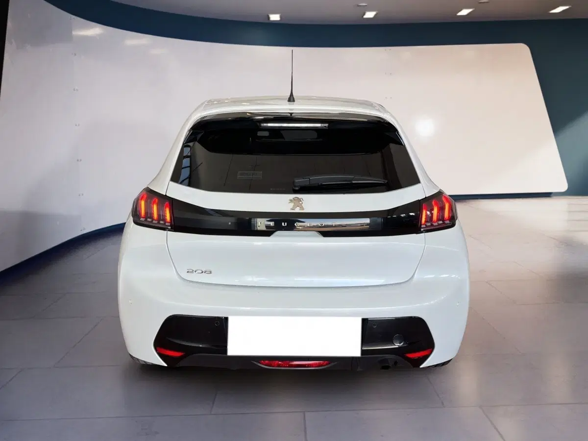 Peugeot 208 usata a Torino (5)