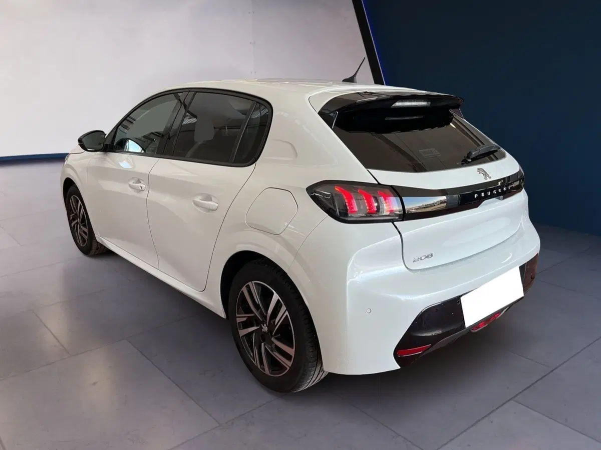 Peugeot 208 usata a Torino (6)