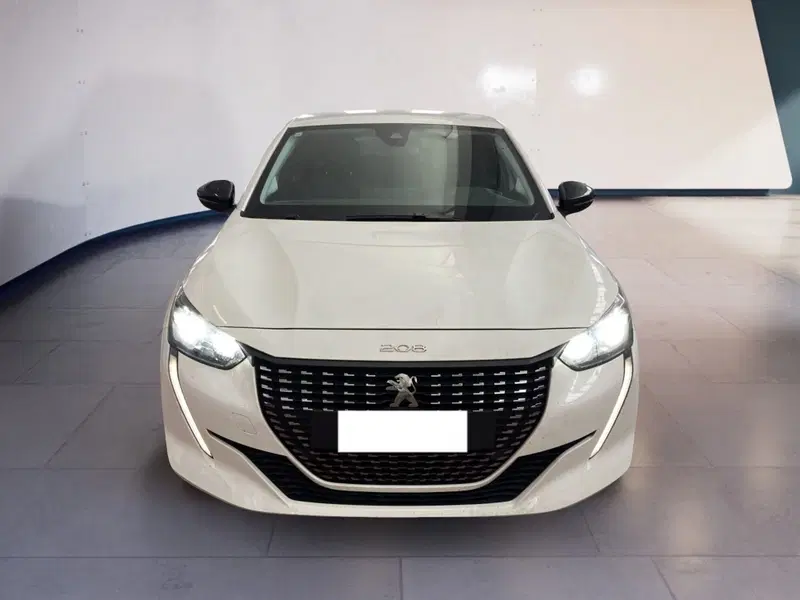 Peugeot 208 usata a Torino