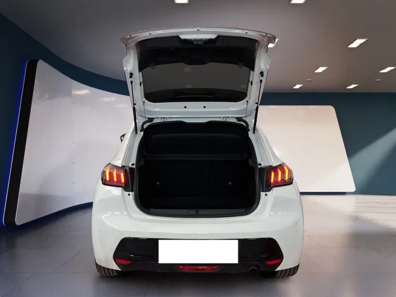 Peugeot 208 usata a Torino (8)