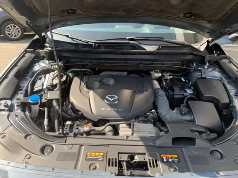Mazda CX-5 usata a Parma (15)