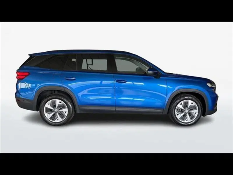 Skoda Kodiaq usata a Firenze (4)