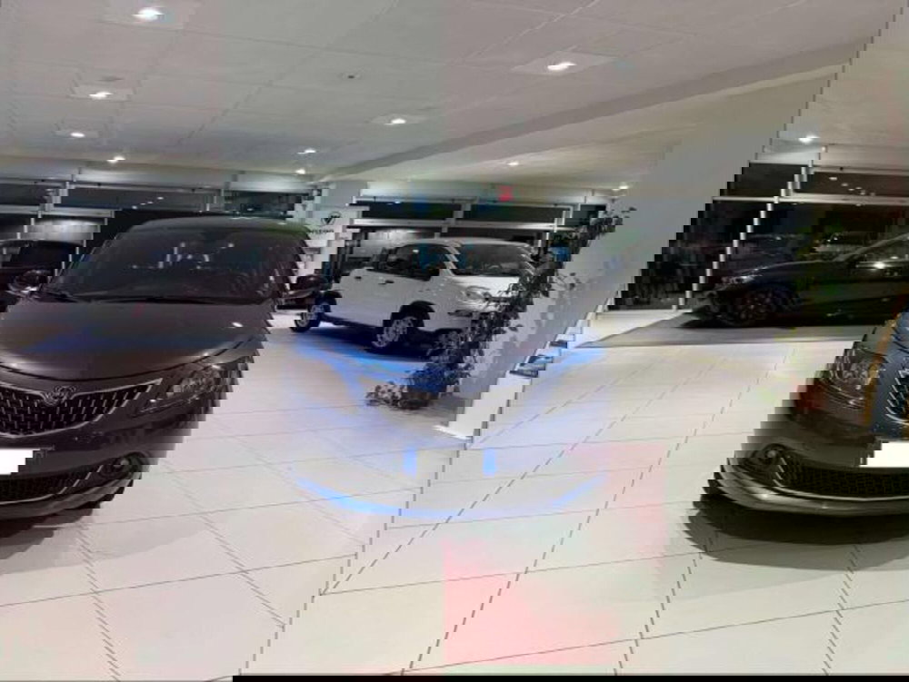 Lancia Ypsilon usata a Savona (3)