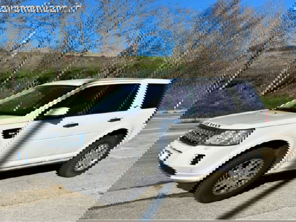 Land Rover Freelander usata a Campobasso (11)