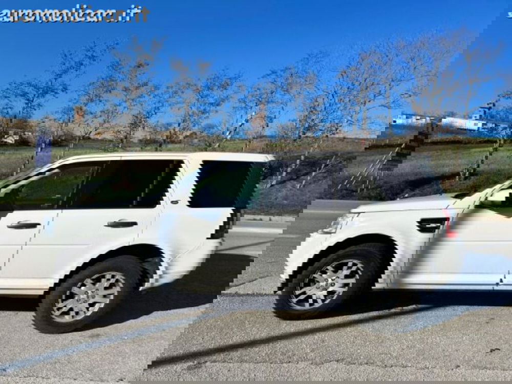 Land Rover Freelander usata a Campobasso (2)