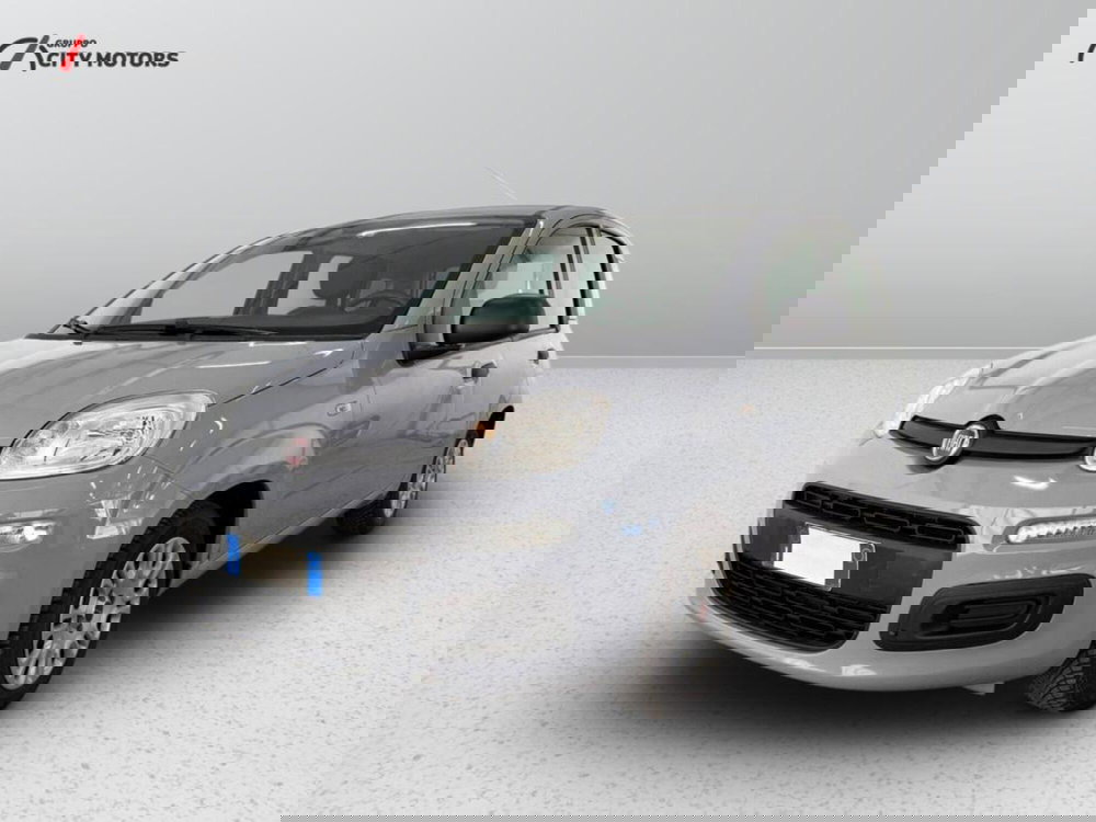 Fiat Panda Cross usata a Monza e Brianza