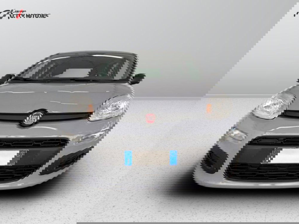 Fiat Panda Cross usata a Monza e Brianza (2)