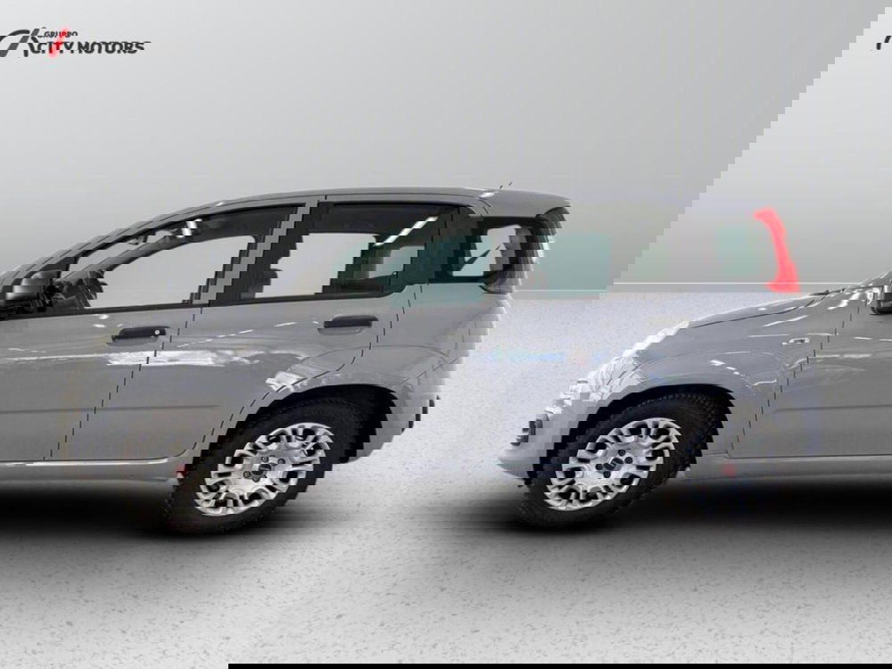 Fiat Panda Cross usata a Monza e Brianza (3)