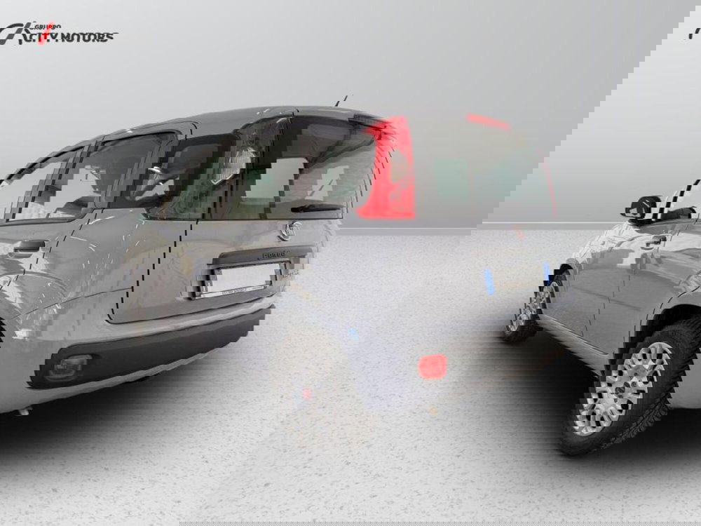 Fiat Panda Cross usata a Monza e Brianza (4)