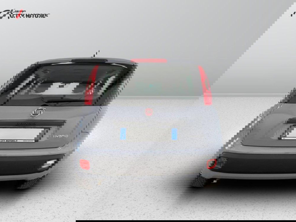 Fiat Panda Cross usata a Monza e Brianza (5)