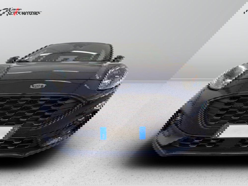 Ford Puma usata a Monza e Brianza (2)