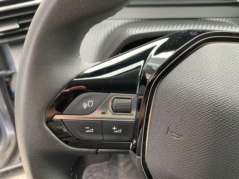 Peugeot 2008 usata a Torino (11)