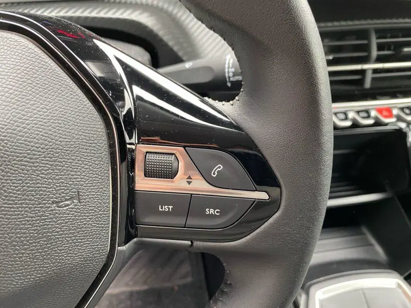 Peugeot 2008 usata a Torino (12)