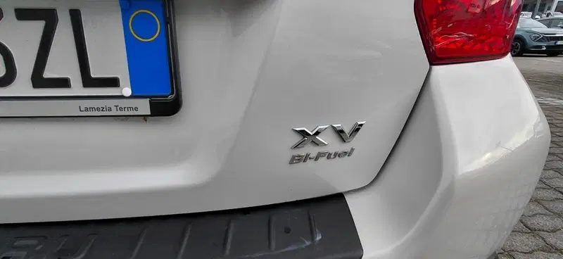 Subaru XV usata a Cosenza (10)