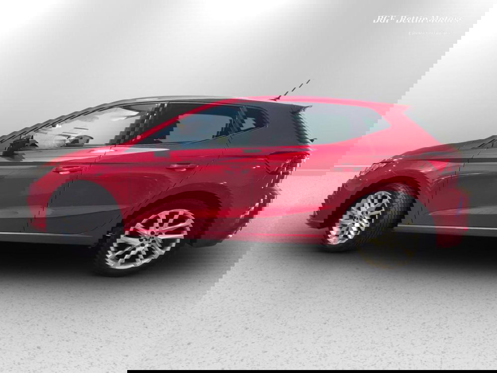 SEAT Ibiza usata a Padova (2)