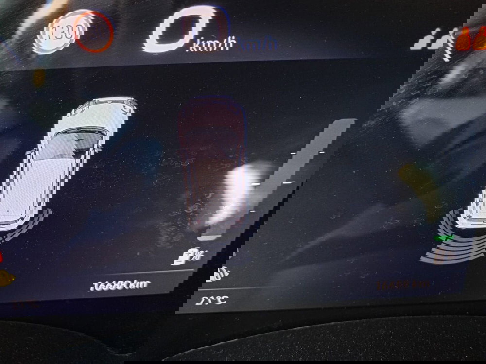 Fiat Panda Cross usata a Alessandria (17)