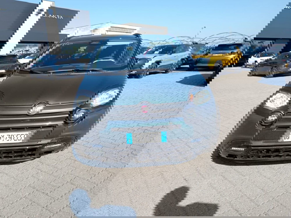 Fiat Panda Cross usata a Alessandria (2)