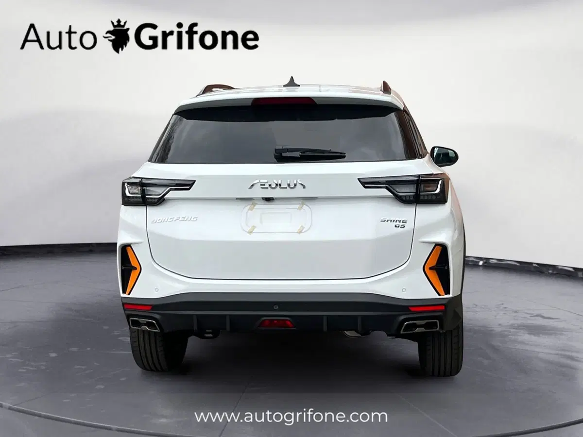 Dongfeng Shine GS  nuova a Modena (4)