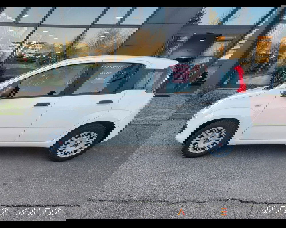 Fiat Panda usata a Reggio Emilia (8)