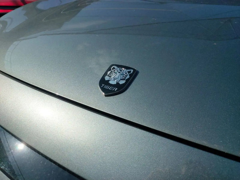 Tiger Six nuova a Pescara (6)