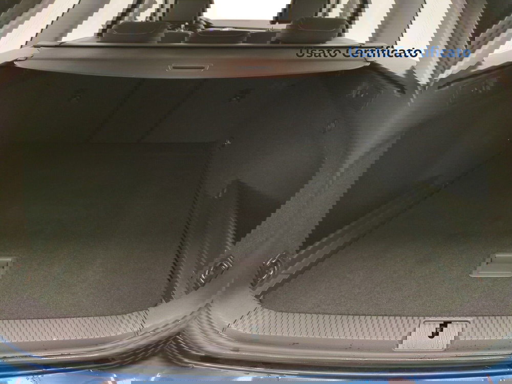 Volkswagen Passat Variant usata a Avellino (9)