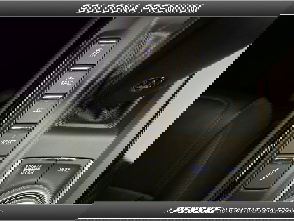 Maserati Levante usata a Bologna (14)