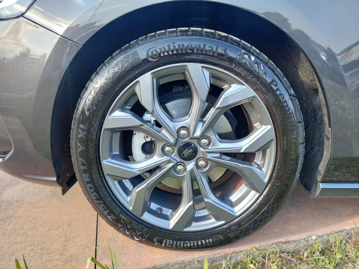 Ford Focus usata a Treviso (7)