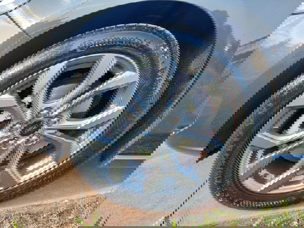 Ford Focus usata a Treviso (7)