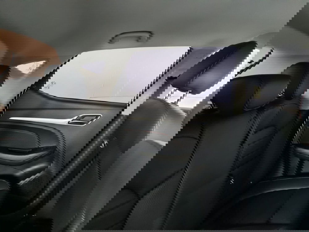 Mg ZS usata a Monza e Brianza (16)