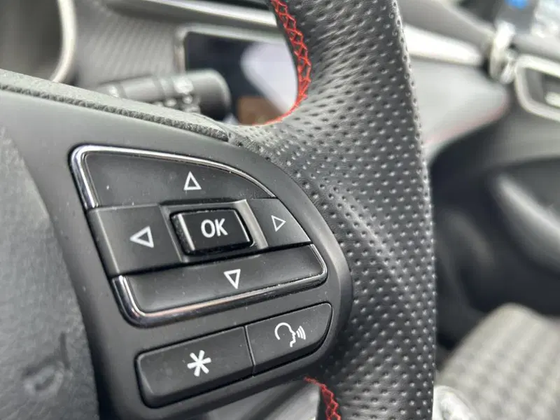 Mg ZS usata a Cuneo (18)