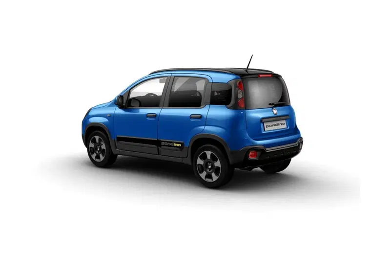 Fiat Pandina usata a Cosenza (2)